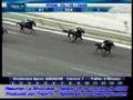 videos de Resumen Carreras sab-25-oct-2008 La Rinconada