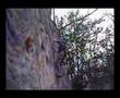 Boulder Petřín