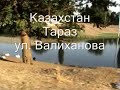 TARAZ   УЛ-ВАЛИХАНОВА