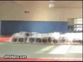salto karate