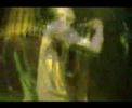 Bonehead - Zona Cero