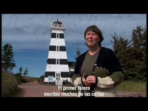 Imagen de previsualización de YouTube