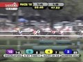 2011 Travers Stakes - Stay Thirsty