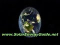 SOLAR PANEL - How to Make Inexpensive DIY Home-Built Solar Panels