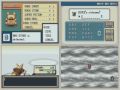 Let-s-race-pokemon-L
