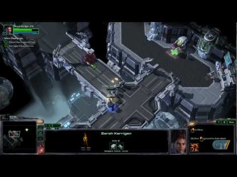 starcraft 2 swarm