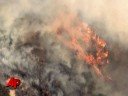 Wind-whipped Fires Send Residents Racing