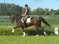samso knight galop