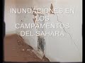 inundaciones en los camapmentos del sahara