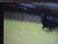 Racker vom Gleisdreieck - Protection