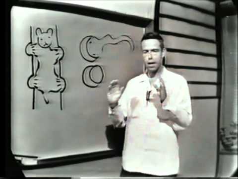 how to meditate jack kerouac meaning