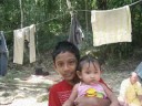 hijau