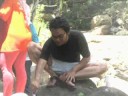 hijau