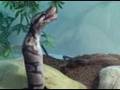 killer snake tannis