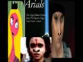 videos de Niggi Arials Icon