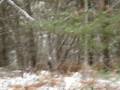 Teepee 08,09 winter