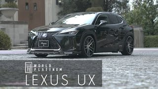 LEXUS UX F-SPORT Bodykit by ROWEN JAPAN *New Products