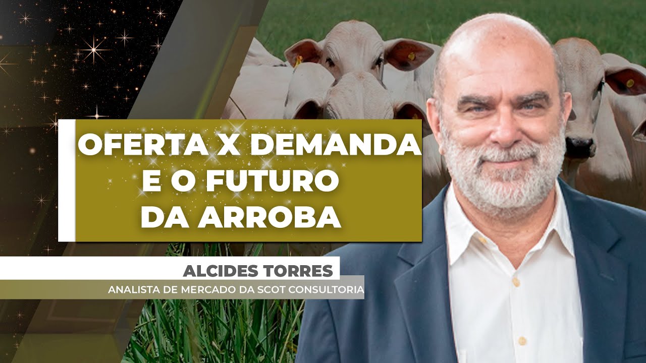 Em ano de muita oferta, demanda ajuda evitar o pior; para 2025 virada do ciclo só no 2º semestre