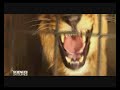 reportage r�alis� par science on tourne! sur max crochet et sa m�thode de dressage-�ducation.