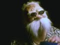 Harvey Ghoulash\