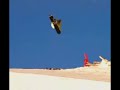 [Shaun White] Saosin (cove) - I Can Tell