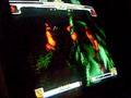 STREET FIGHTER III 3rd STRIKE - FAMILY FUN CASUAL MATCHES ON 09-27-08 - JR RODRIGUEZ VS JAY JAY