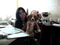 Vicente mi perro