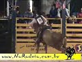 Tou.ARANDU 2008 RODEIO EM TOUROS