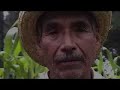 Gnu'u nuni 3/ Las palabras del maíz 3/ The words of corn 3