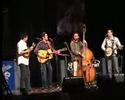 Acousticure - Liza Jane