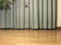 videos de 4#3B + SMART SERVO TEST