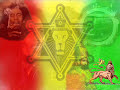 AntiKings Sound - Buch z fajki wodnej