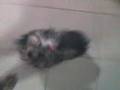 videos de Video_111908_004.3gp