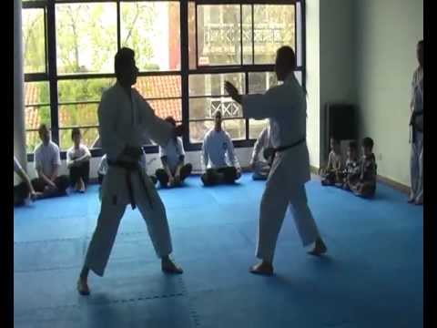 Artes marciales y No Violencia (Karate Do)