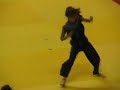 Capoeira & kung fu xtreme flips