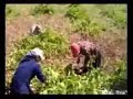 Oromoye - Tur Abdin - Aram Nahrin Oromoye - Tur Abdin - Aram Nahrin