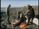 2008 Abalone Report Card Instructions