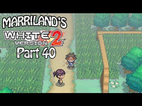 how to find n's pokemon in white 2