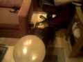 Diego i balon:)