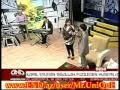 Oqtay ft Samire - Gunebaxan verilisi 13.02.2012