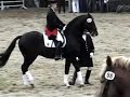 Dressage High School - www.dressage-connection.com