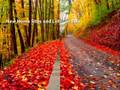 Alpine Lake Terra Alta WV homes and Lots for Sale