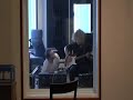 Rasmus Pauli plays solo