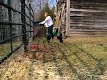 Goats hit fence at Roselawn Bed and Breakfast Goats hit fence at Roselawn Bed and Breakfast