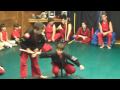 Demo Team 2009