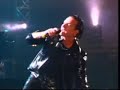 zoo tv- new years day