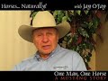 A Mustang Story - \"Establishing Leadership\" (Episode 1) A Mustang Story - \"Establishing Leadership\" (Episode 1)