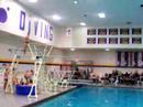 WIAC D3 3-Meter Conference Diving Championships