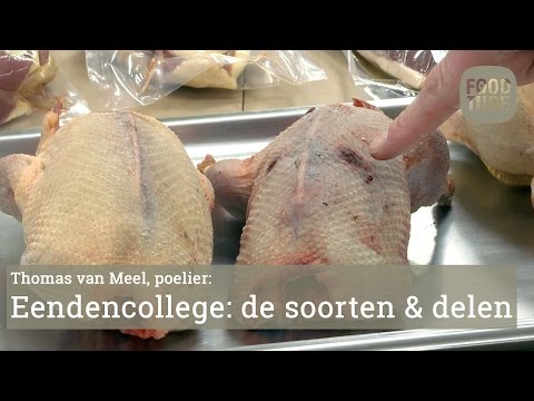Eendencollege van Thomas van Meel