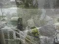 Weird Ferndale Weather